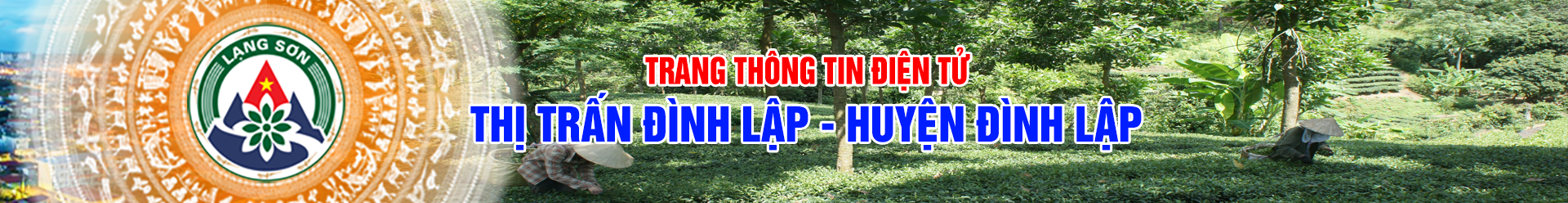 TT Dinh Lap